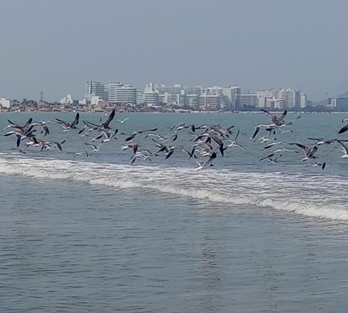Сasa de vacaciones Casa En La Playa Caribe
