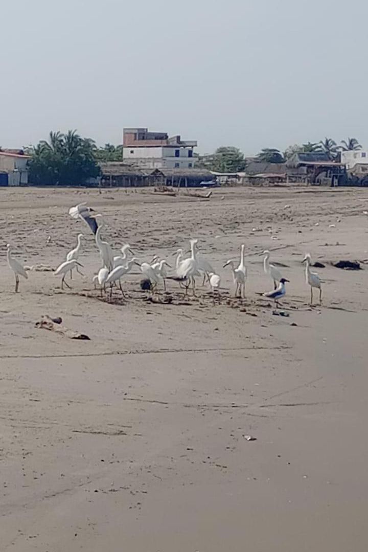 Сasa de vacaciones Casa En La Playa Caribe