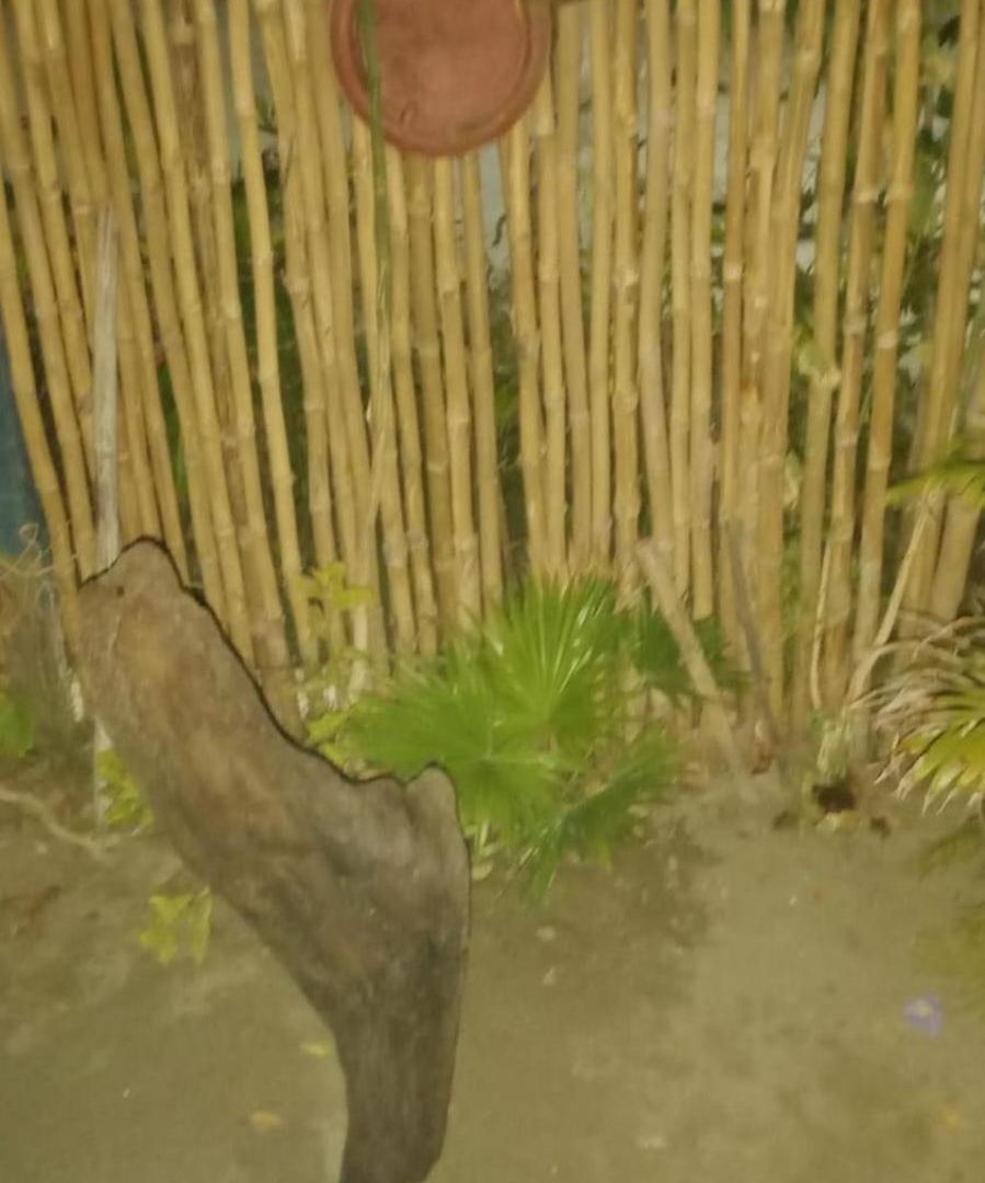Casa En La Playa Caribe