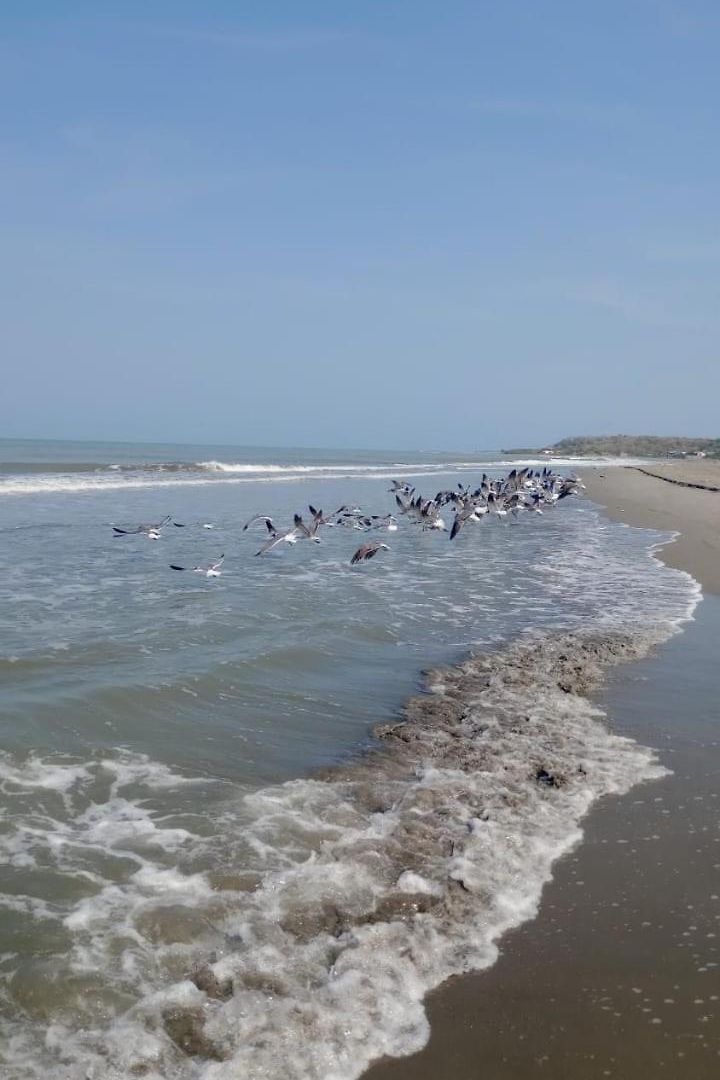 Сasa de vacaciones Casa En La Playa Caribe Cartagena