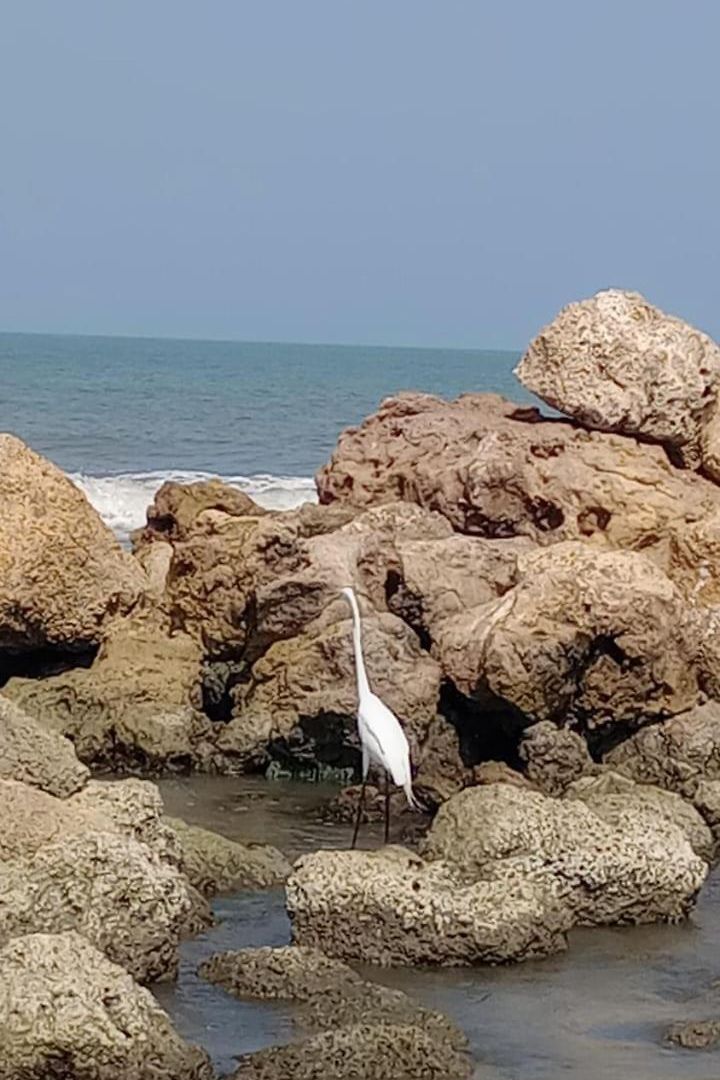 Casa En La Playa Caribe Сasa de vacaciones *