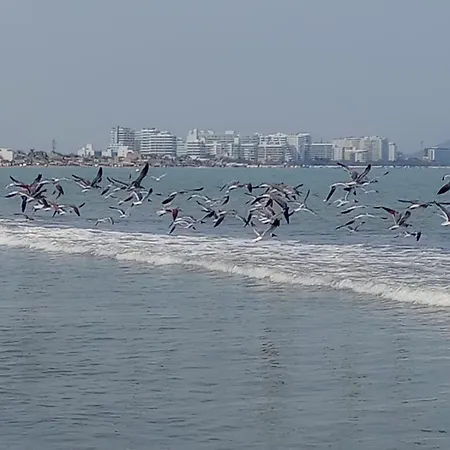 Сasa de vacaciones Casa En La Playa Caribe