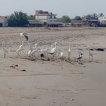 Сasa de vacaciones Casa En La Playa Caribe