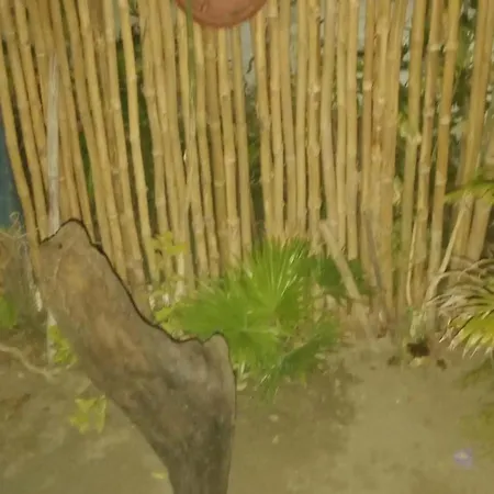 Casa En La Playa Caribe