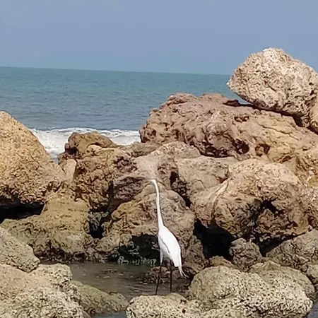 Casa En La Playa Caribe Сasa de vacaciones *