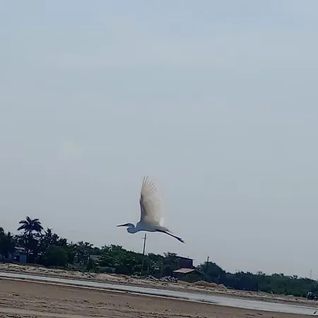 Casa En La Playa Caribe Сasa de vacaciones